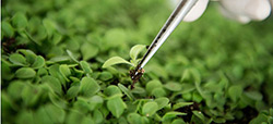 Biotecnologia Y Genomica en Miami
